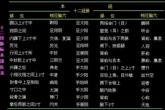 十二经脉标本部位表