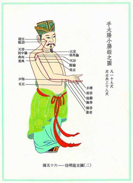 《新针灸学》经穴图 