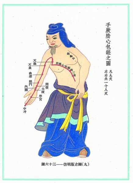 《新针灸学》经穴图 
