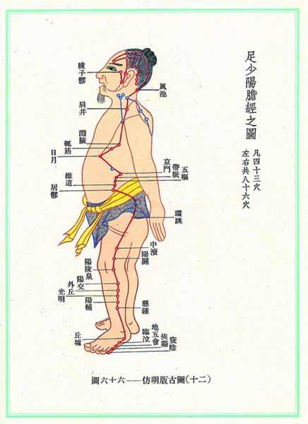 《新针灸学》经穴图 
