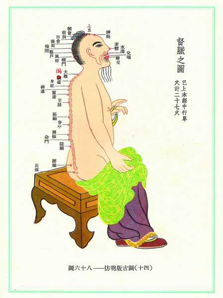 《新针灸学》经穴图 