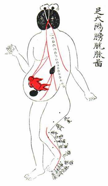 《产经》十脉图 