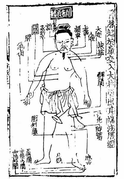 《子午流注针经》十二脉图 