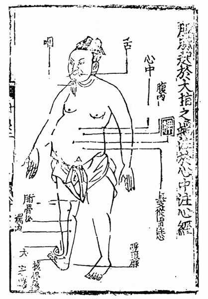 《子午流注针经》十二脉图 