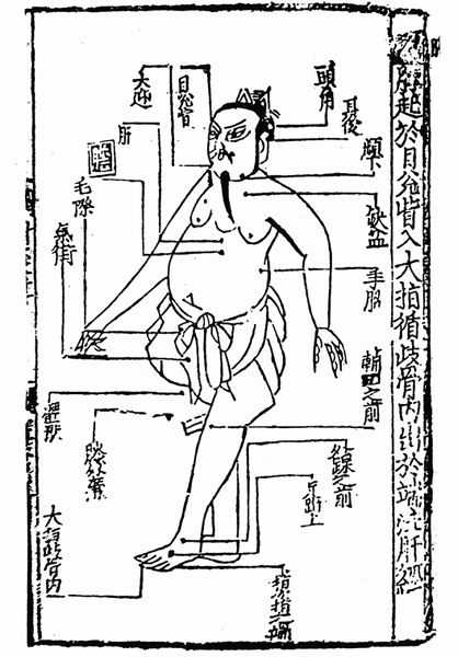 《子午流注针经》十二脉图 