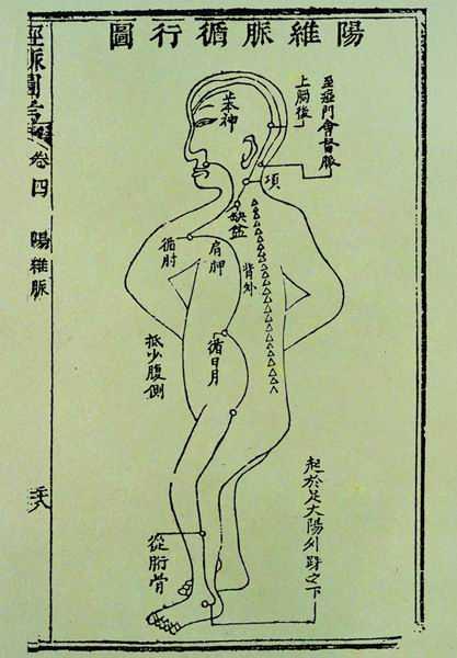 《经脉图考》奇经八脉图 