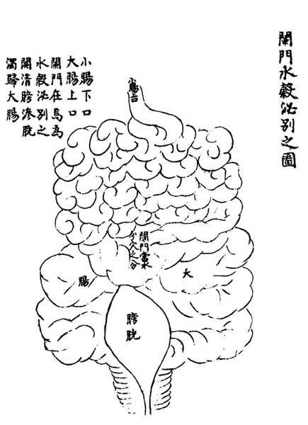 《循经考穴编》传本存真图 