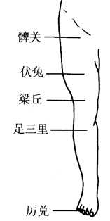 图6-6面部美容按摩穴位图 图6-6面部美容按摩穴位图