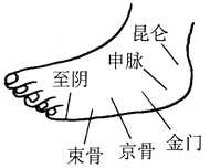 图6-8束骨穴取位图 图6-8束骨穴取位图