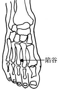 图7-5陷谷穴取穴图 图7-5陷谷穴取穴图