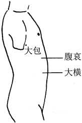 图13-2腹哀穴取穴图 图13-2腹哀穴取穴图