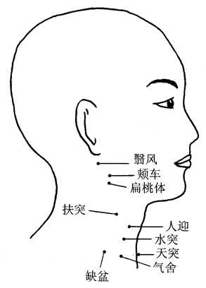 图18-1水突穴取穴示意图 图18-1水突穴取穴示意图