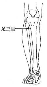 图2-6-3 图2-6-3