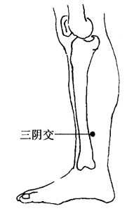 图2-6-4 图2-6-4