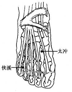 图2-14-4 图2-14-4