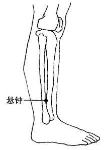 图3-2-4 图3-2-4