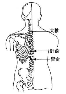 图2-12-1大椎、肝俞、胃俞 图2-12-1大椎、肝俞、胃俞