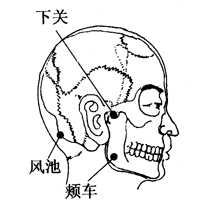 图2-21-1下关、风池、颊车 图2-21-1下关、风池、颊车