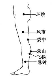 图2-23-3环跳、风市、委中、承山、飞扬、悬钟 图2-23-3环跳、风市、委中、承山、飞扬、悬钟