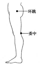 图2-23-2环跳、委中 图2-23-2环跳、委中