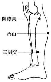 图3-10-3阳陵泉、承山、三阴交 图3-10-3阳陵泉、承山、三阴交