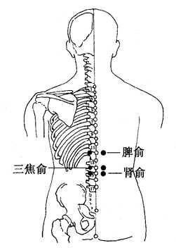图4-5-3脾俞、三焦俞、肾俞
