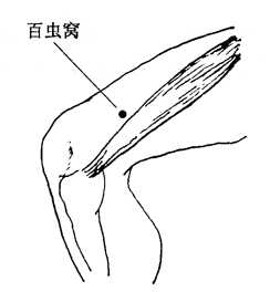 图8-3-2百虫窝