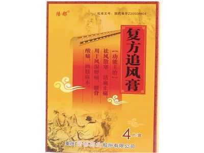复方追风膏 复方追风膏