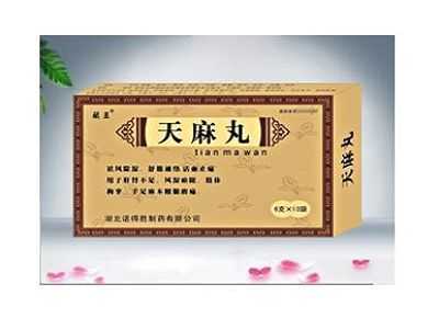天麻丸 天麻丸