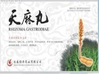 天麻丸 天麻丸