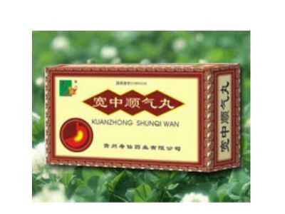宽中顺气丸 宽中顺气丸