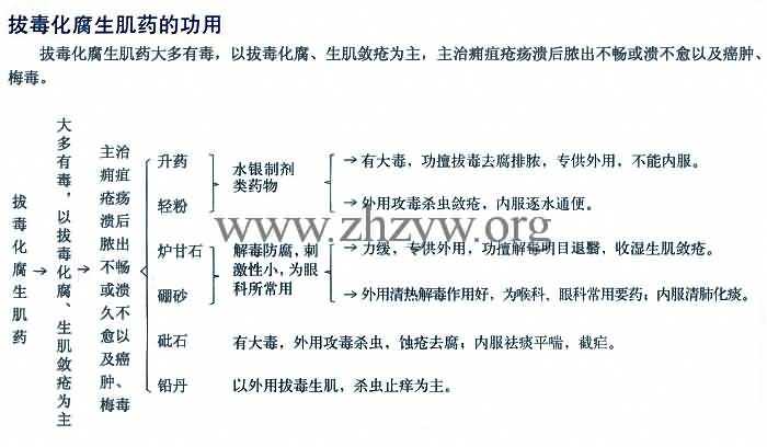 拔毒化腐生肌药的功用