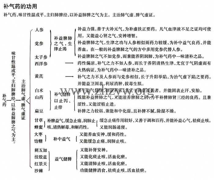 补气药的功用