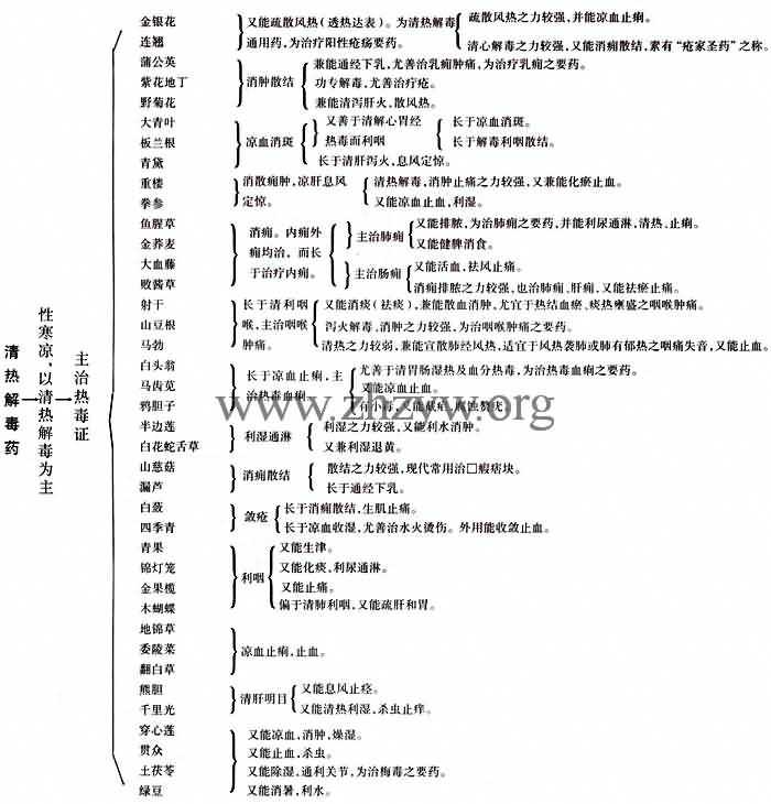 清热泻火药的功用
