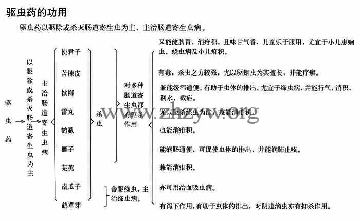 驱虫药的功用