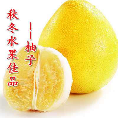 秋冬水果佳品--柚子