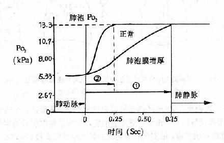 正常人与肺泡膜增厚时肺循环中血红蛋白氧合的时间过程