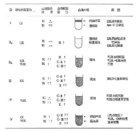 人高脂血症分型及其特征