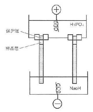 IEF装置与标本溶液的装置(园盘电泳)