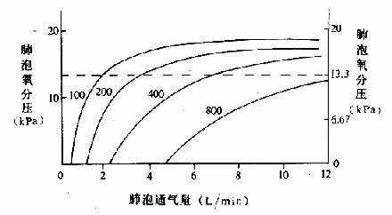 不同氧耗量时肺泡通气量与肺泡氧分压的关系 