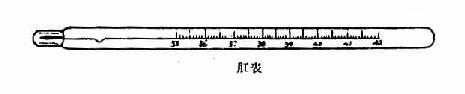 肛表