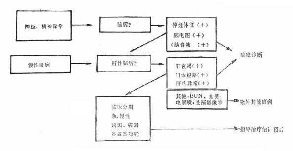 肝性脑病的诊断程序