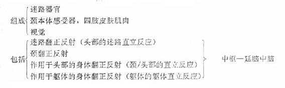 视觉翻正反射