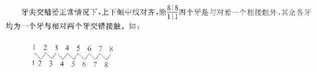上牙部分覆盖在牙的唇(颊)面。