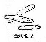 尿内各种管型