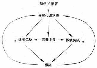 损伤与营养不良及感染的关系