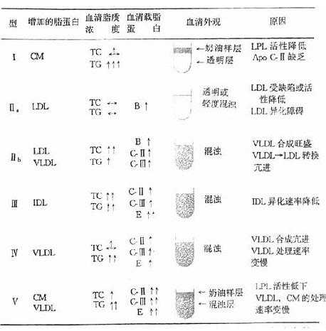 人高脂蛋白血症分型及其特征