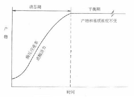 动态和平衡概念的示意图