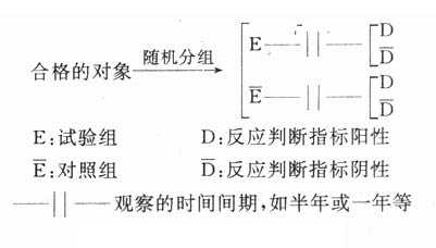 随机对照试验模式图