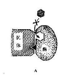 EMIT原理示意图